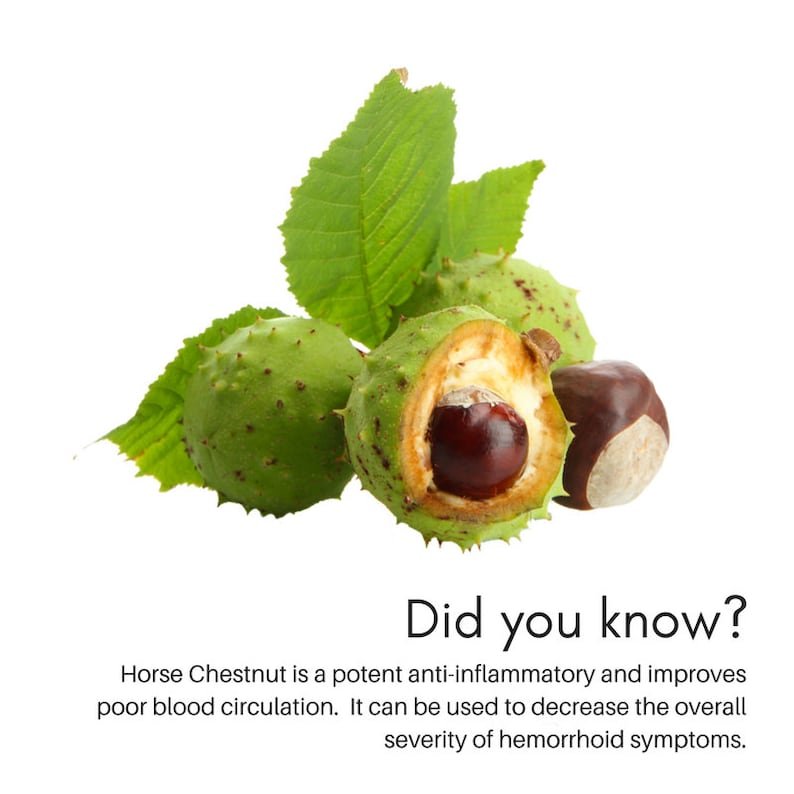 organic horsechestnut cream | moisturizing balm for sensitive skin | plant based ingredients | for external use only organic horsechestnut cream | moisturizing balm for sensitive skin | plant based ingredients | for external use only