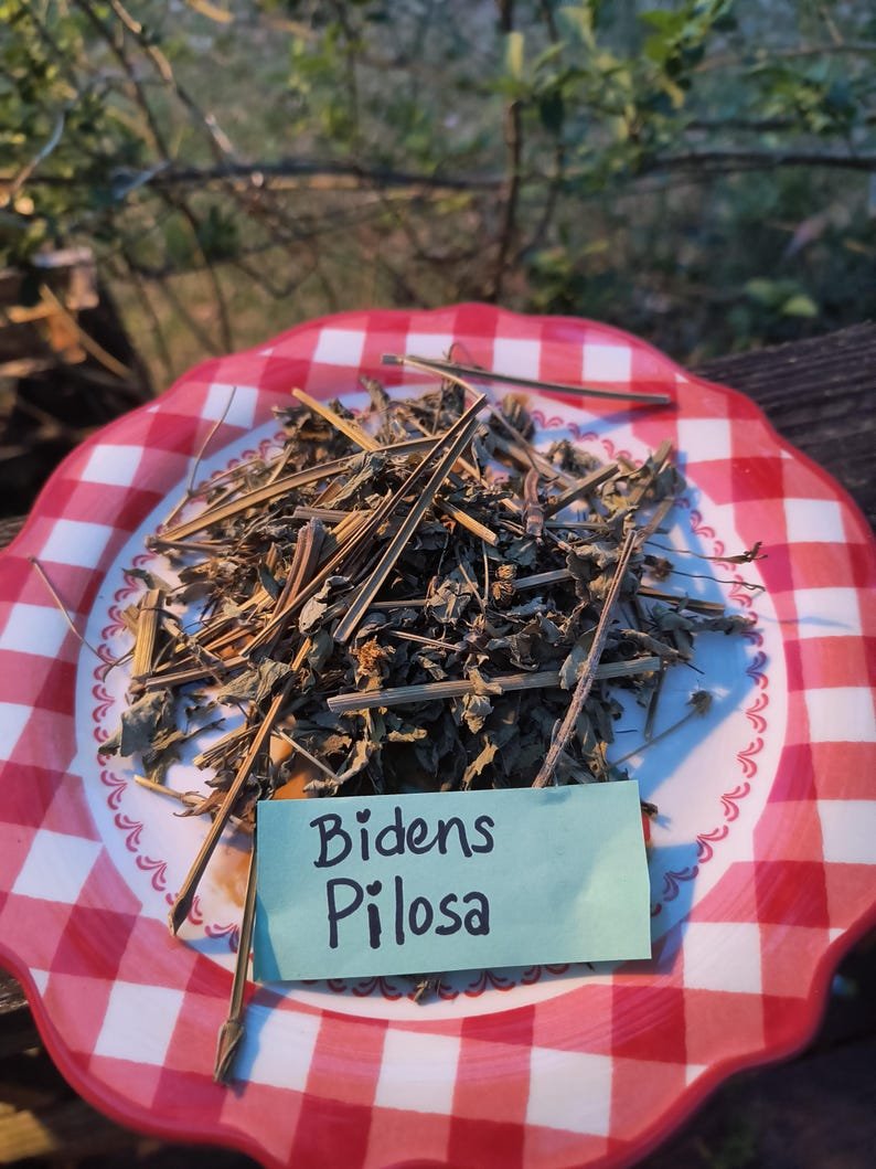 herbal healing balm herbal healing balm