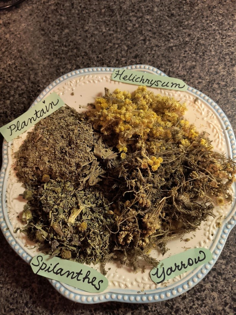 herbal healing balm herbal healing balm